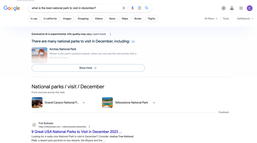 Screenshot of the Google SERP and AI snapshot