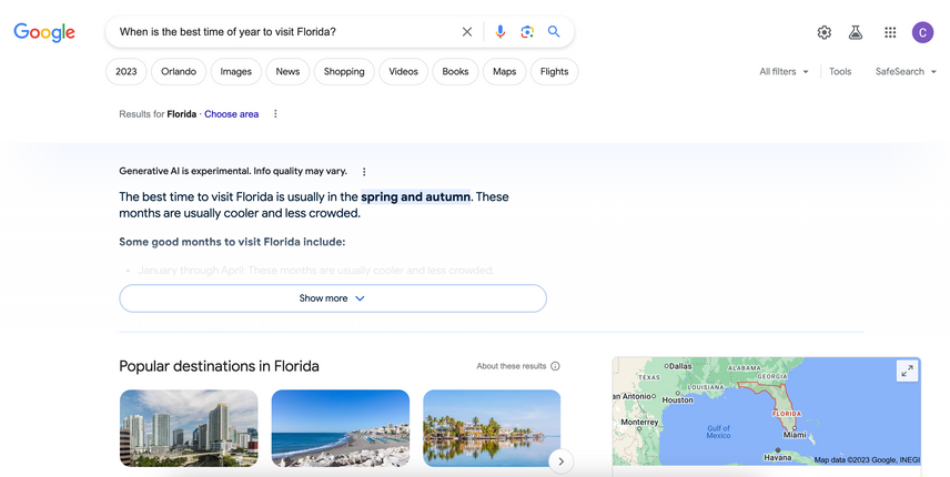 Screenshot of Google SERP and AI snapshot
